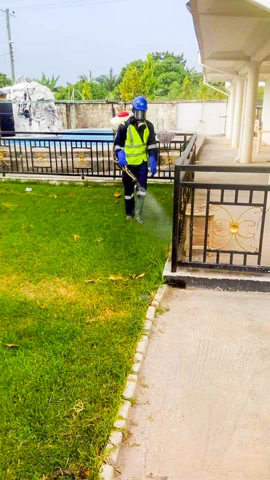 pest control project 4