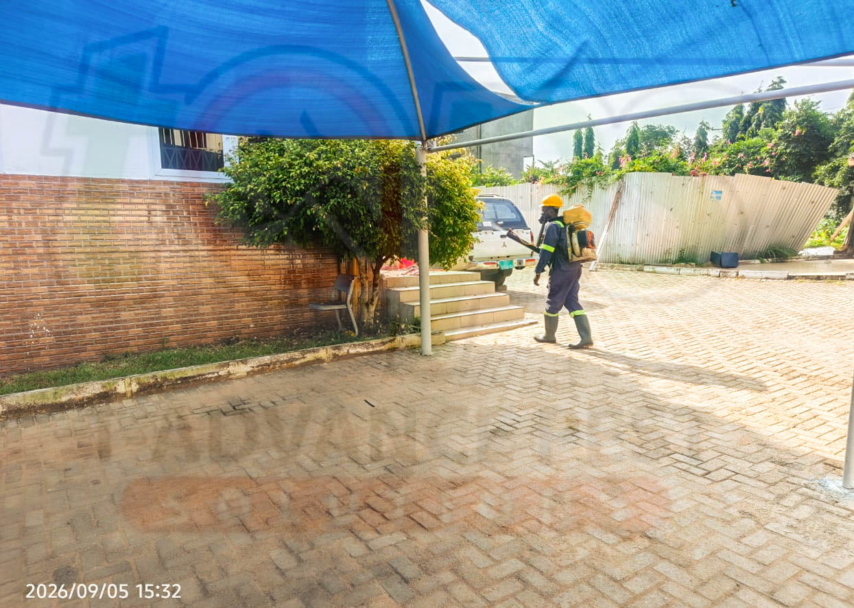 t-advance pest project picture