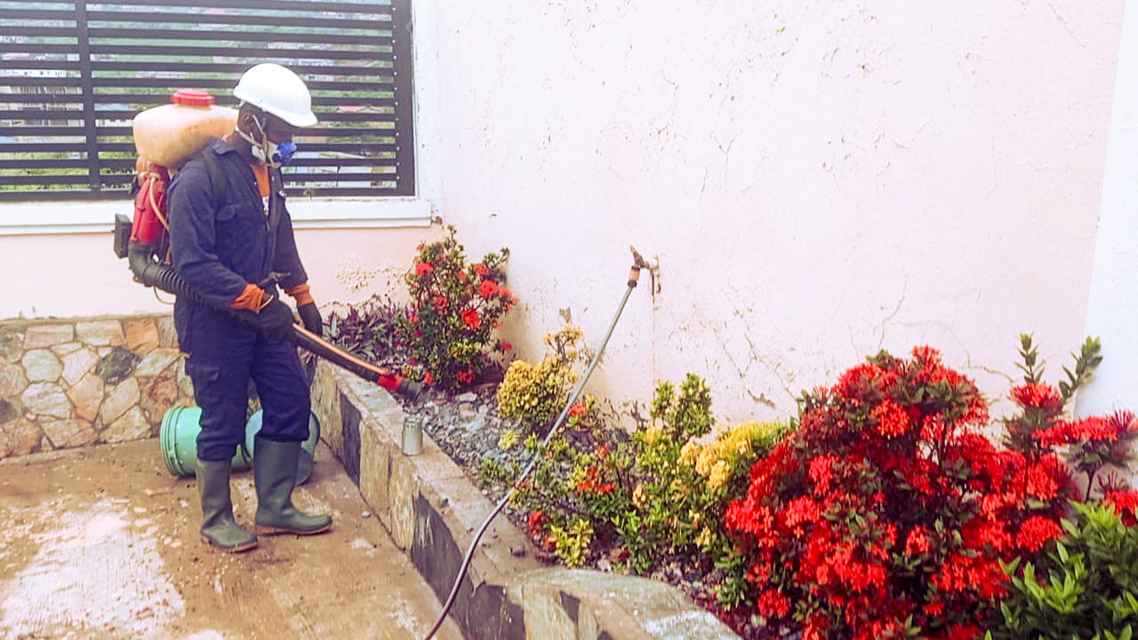 pest control project 1