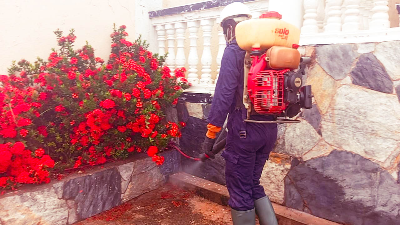 pest control project 3