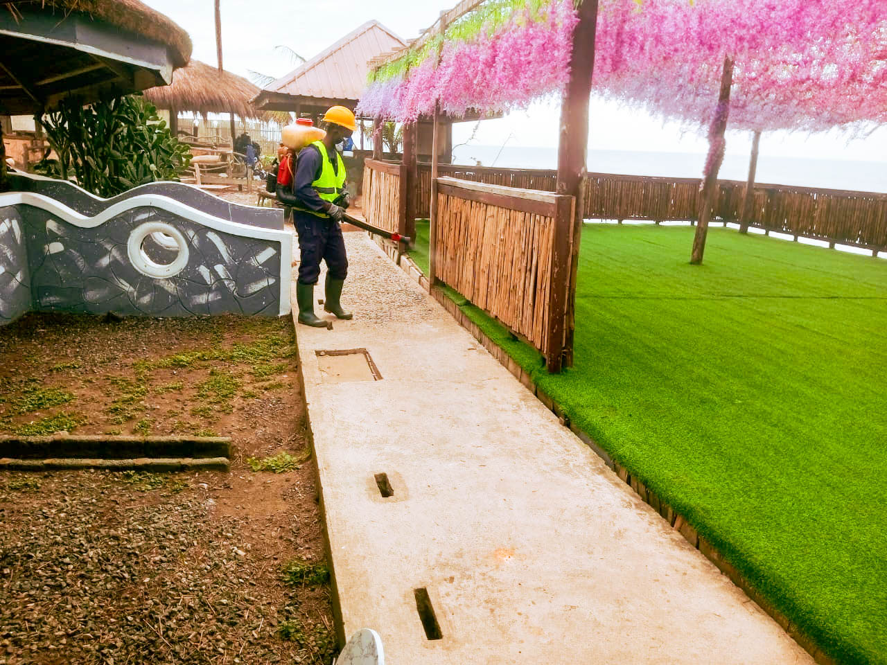 pest control project 4