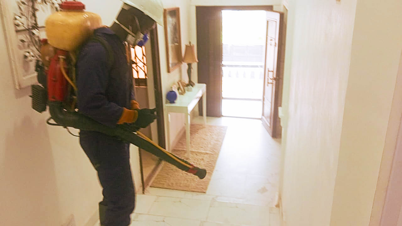 pest control project 5