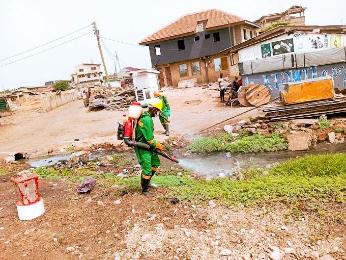 t-advance pest project picture